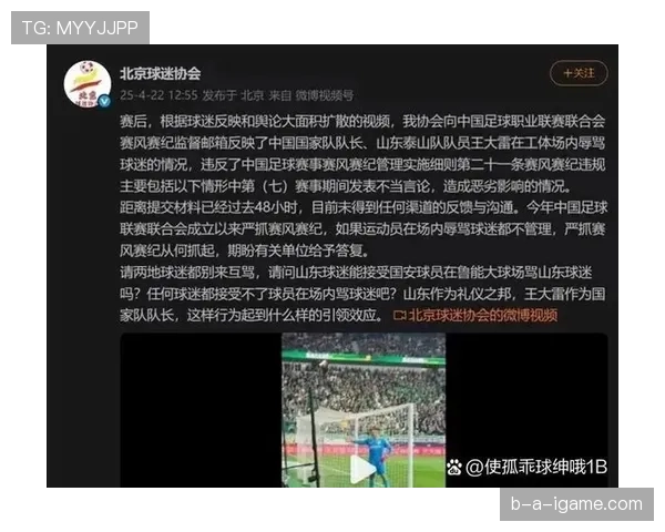 解放者杯VAR判罚再引争议,裁判决定成焦点